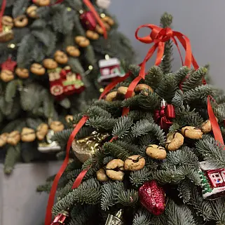 Ёлочка Magic Moment S