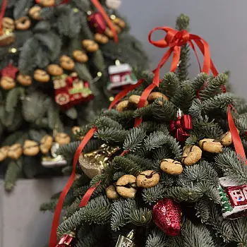 Ёлочка Ностальгия S