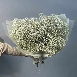 Букет из 15 веточек гипсофилы