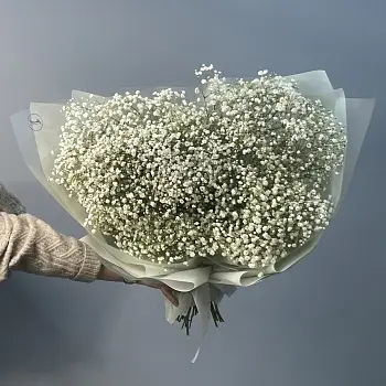 Букет из 15 веточек гипсофилы