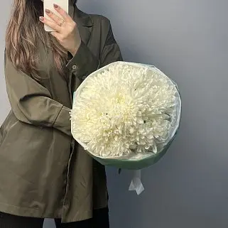 Букет из 7 белых хризантем