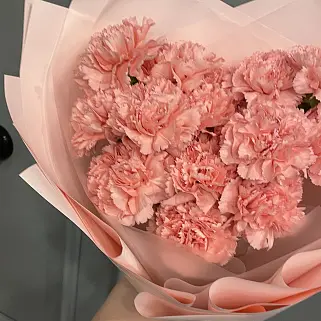 Букет из 15 розовых гвоздик