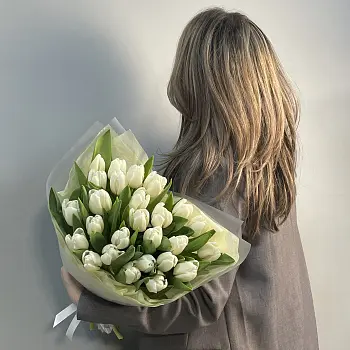 Букет из 25 белых тюльпанов