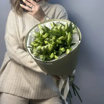 Букет из 11 белых альстромерий