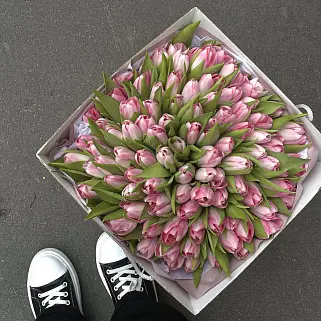 Букет из 101 розового тюльпана