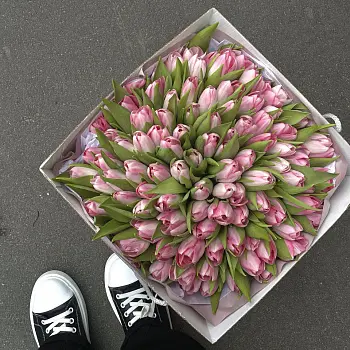 Букет из 101 розового тюльпана
