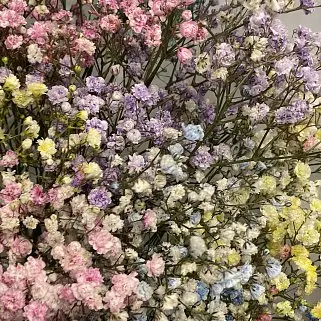 Букет из 15 веточек цветной гипсофилы