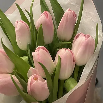 Букет из 9 розовых тюльпанов
