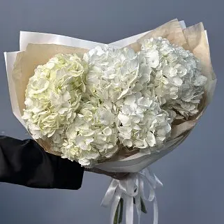 Букет из 5 белых гортензий