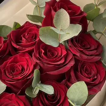 Букет красных роз Explorer и эвкалипта S