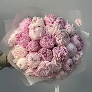 Букет из 25 розовых пионов