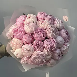 Букет из 25 розовых пионов