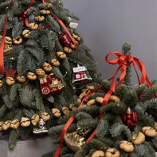 Ёлочка Magic Moment M