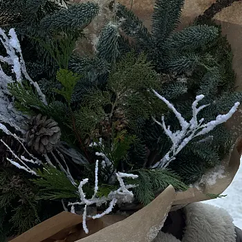 Зимний букет Охапка хвои