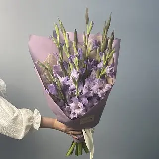 Букет из 9 лиловых гладиолусов