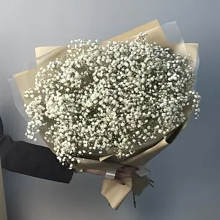 Букет из 11 веточек гипсофилы