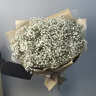 Букет из 11 веточек гипсофилы