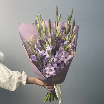 Букет из 9 лиловых гладиолусов