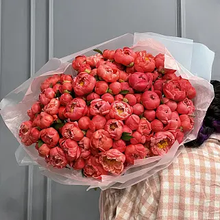 Букет из 101 пиона Coral Sunset