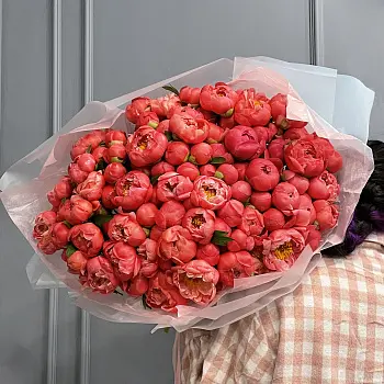 Букет из 101 пиона Coral Sunset