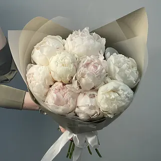 Букет из 9 белых пионов
