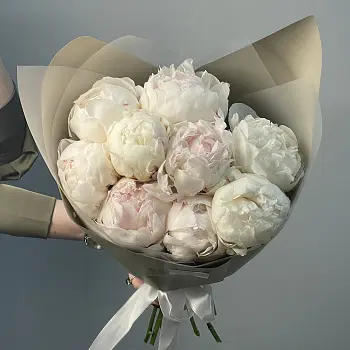 Букет из 9 белых пионов