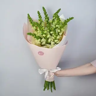 Букет из 11 антирринумов