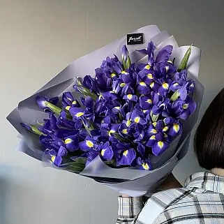 Букет из 51 ириса