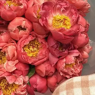 Букет из 51 пиона Coral Sunset