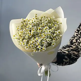 Букет ромашек S