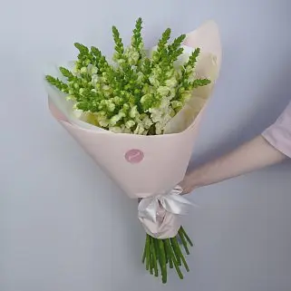 Букет из 21 антирринума