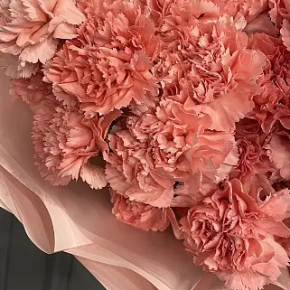 Букет из 25 розовых гвоздик