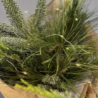 Зимний букет Уют