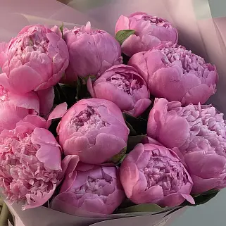 Букет из 11 ярко-розовых пионов