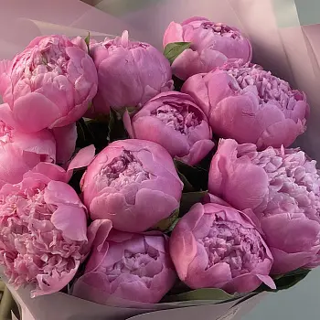 Букет из 11 ярко-розовых пионов