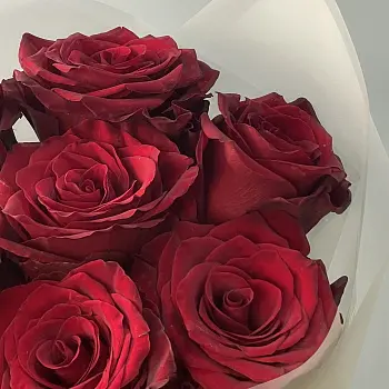 Букет из 7 роз Explorer