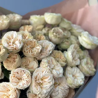 Букет из 9 кустовых пионовидных роз Gentle Trendsetter