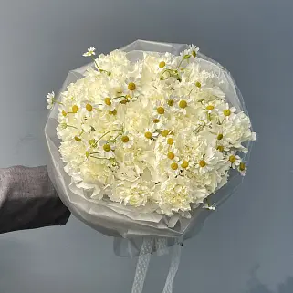 Белый дуо-букет гвоздик и матрикарий M