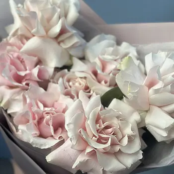 Букет из 7 французских роз Pink Mondial