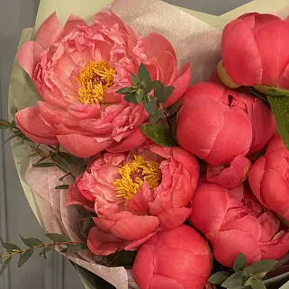 Букет из 7 пионов Coral Sunset и эвкалипта