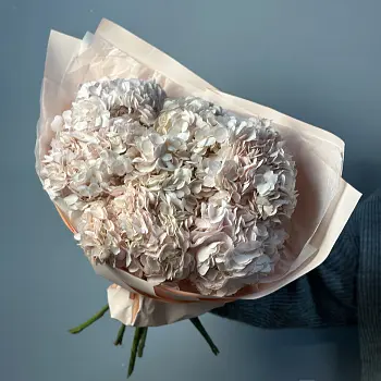 Букет из 7 розовых гортензий