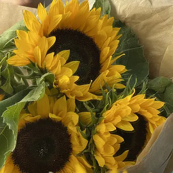 Солнечный букет из 5 подсолнухов