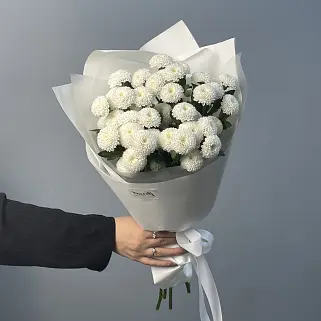 Букет из 5 кустовых хризантем Coconut
