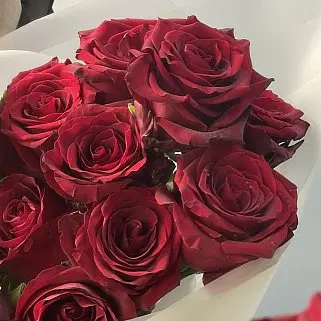 Букет из 15 роз Explorer