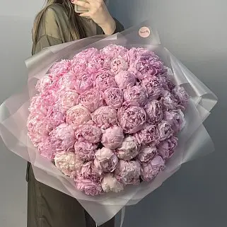 Букет из 51 розового пиона