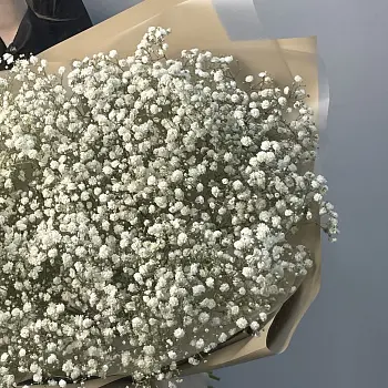 Букет из 11 веточек гипсофилы