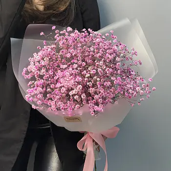 Букет из 5 веточек розовой гипсофилы