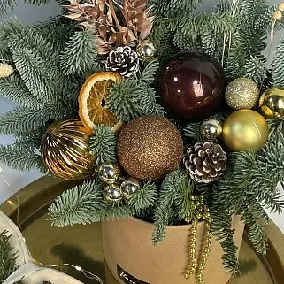 Зимняя композиция Брауни М