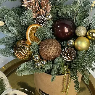 Зимняя композиция Брауни М