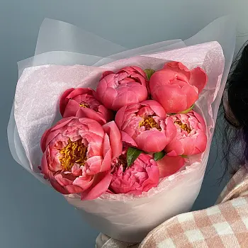 Букет из 7 пионов Coral Sunset